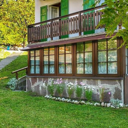 Апартаменти Cozy Alpine House Di Svaizer Сан-Мартіно-ді-Кастроцца Екстер'єр фото